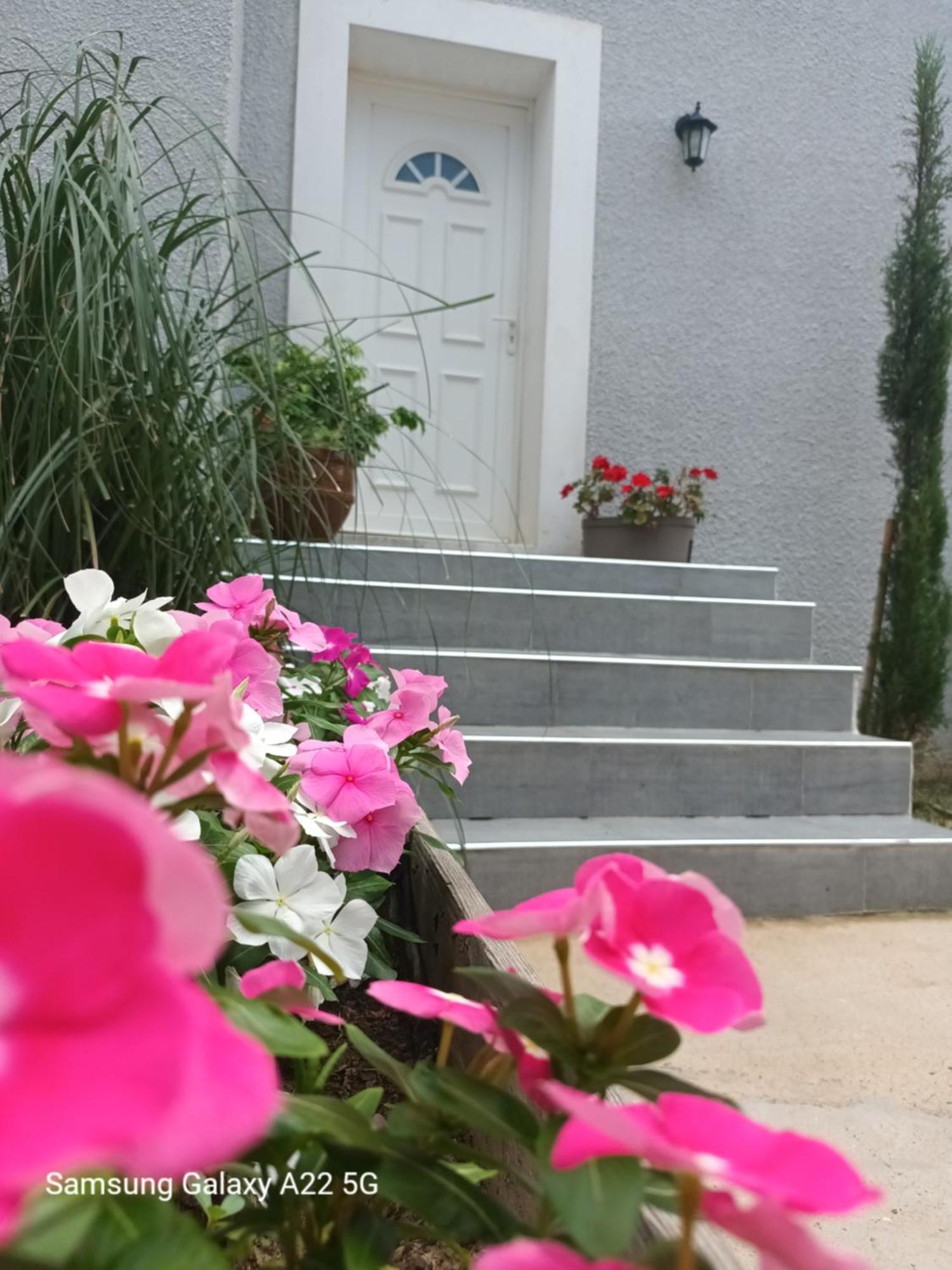 Villa San Salvador Torreilles Plage Exterior foto